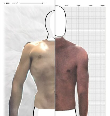 Torso Comparison