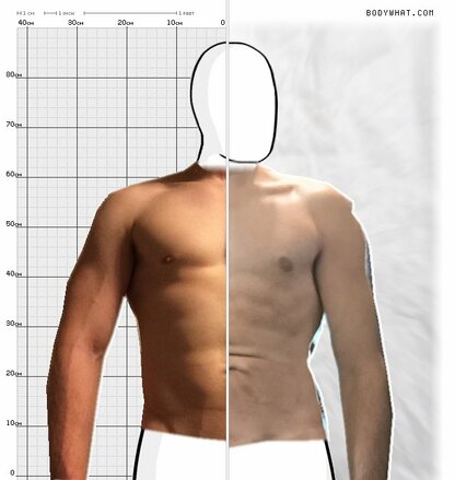 Torso Comparison