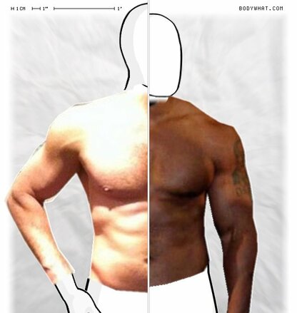 Torso Comparison