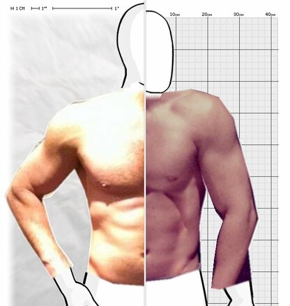 Torso Comparison