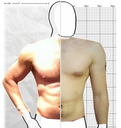 Torso Comparison