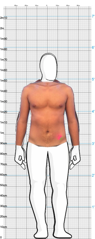 Full Size Comparison