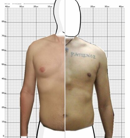 Torso Comparison