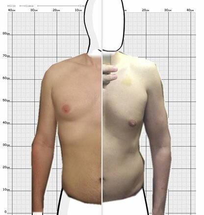 Torso Comparison