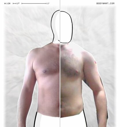 Torso Comparison