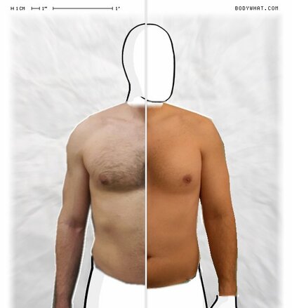 Torso Comparison