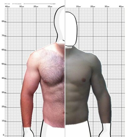 Torso Comparison