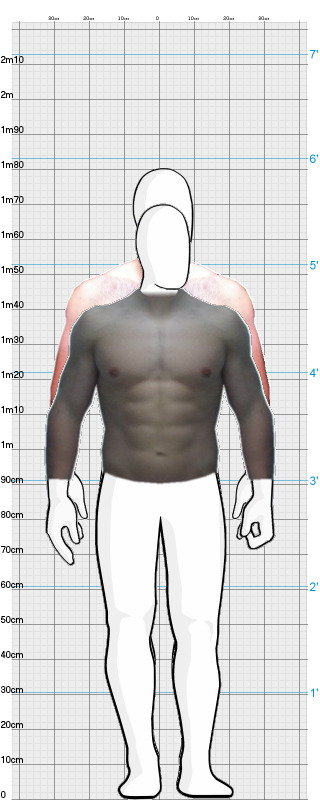 Full Size Comparison