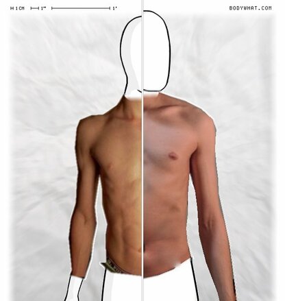 Torso Comparison