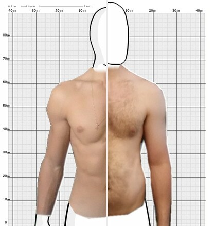 Torso Comparison