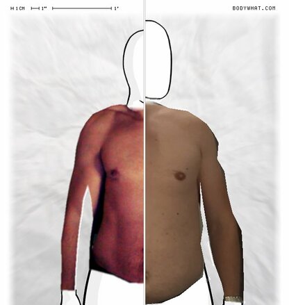 Torso Comparison