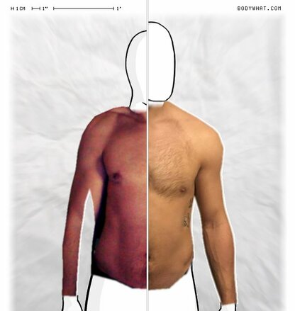 Torso Comparison