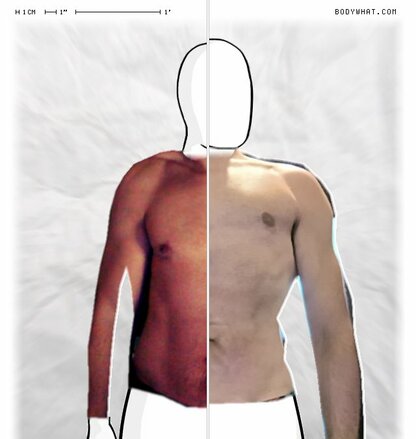 Torso Comparison