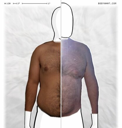 Torso Comparison