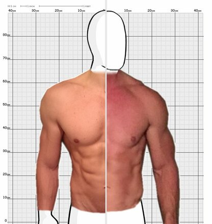 Torso Comparison