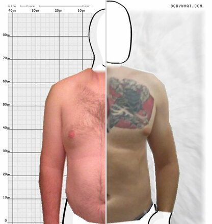 Torso Comparison