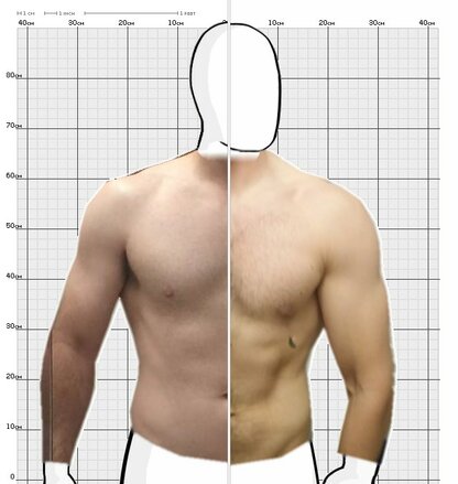 Torso Comparison