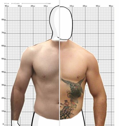 Torso Comparison