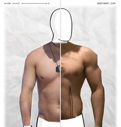 Torso Comparison