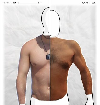 Torso Comparison