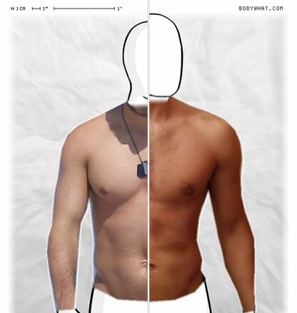 Torso Comparison