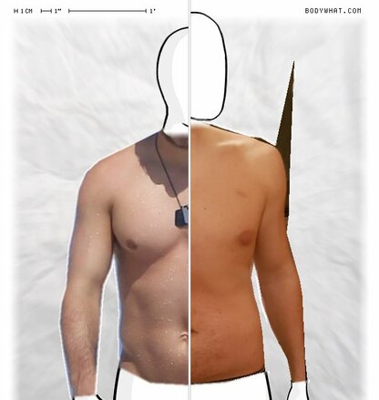 Torso Comparison