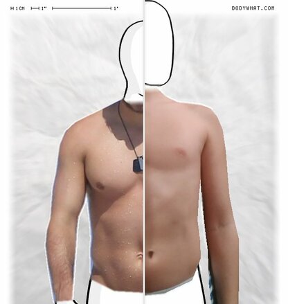 Torso Comparison