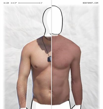 Torso Comparison