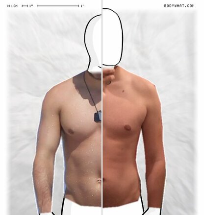 Torso Comparison