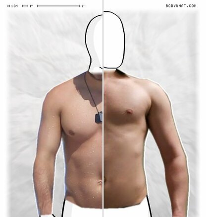 Torso Comparison