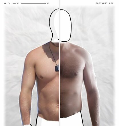 Torso Comparison