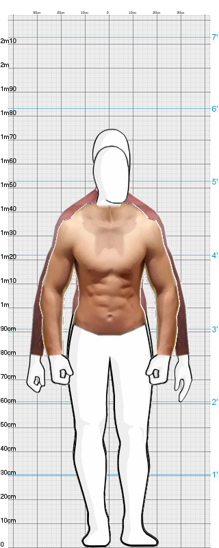 Full Size Comparison