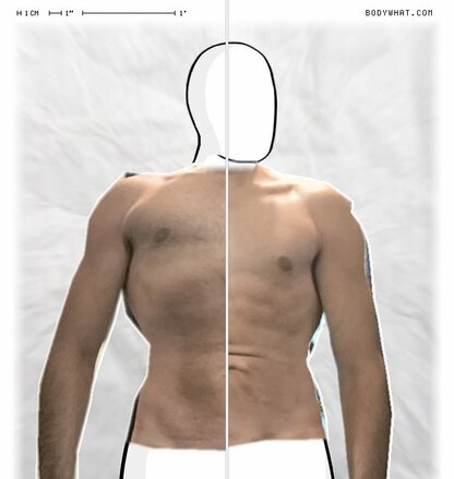 Torso Comparison