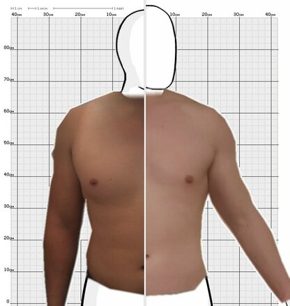 Torso Comparison