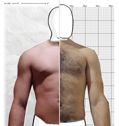 Torso Comparison