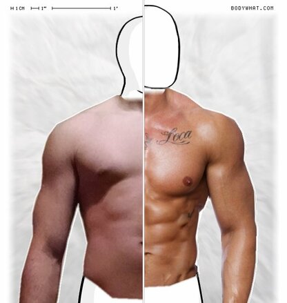 Torso Comparison