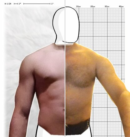 Torso Comparison