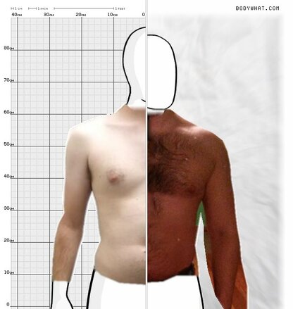 Torso Comparison