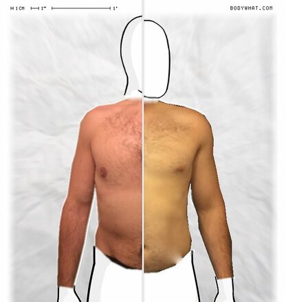 Torso Comparison