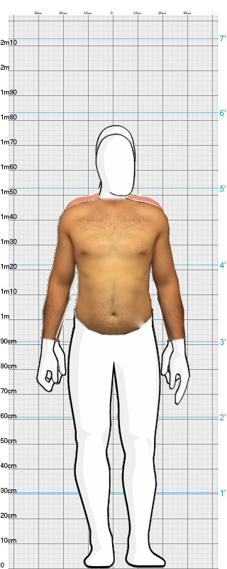 Full Size Comparison