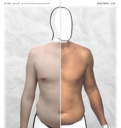 Torso Comparison