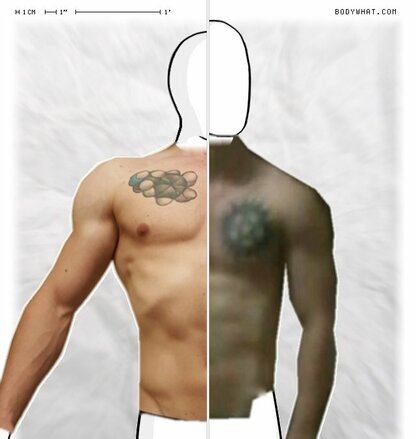 Torso Comparison
