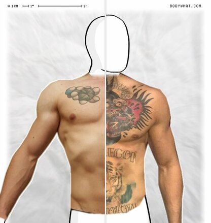 Torso Comparison