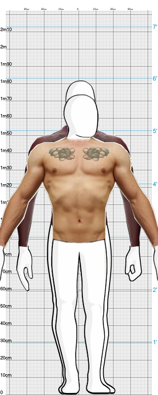 Full Size Comparison