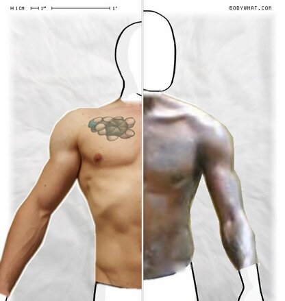 Torso Comparison