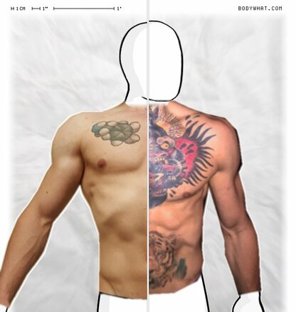 Torso Comparison