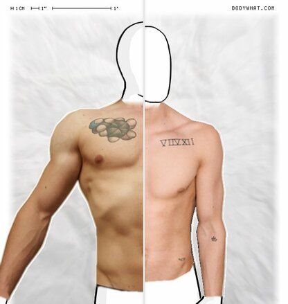 Torso Comparison
