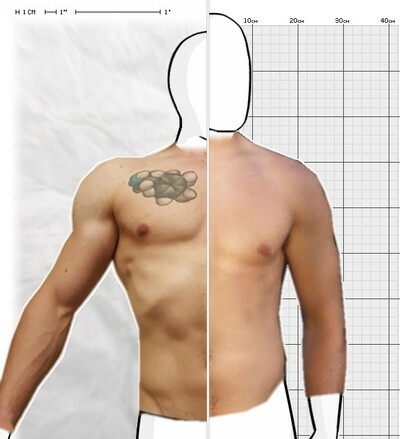 Torso Comparison