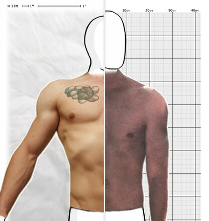 Torso Comparison