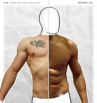 Torso Comparison